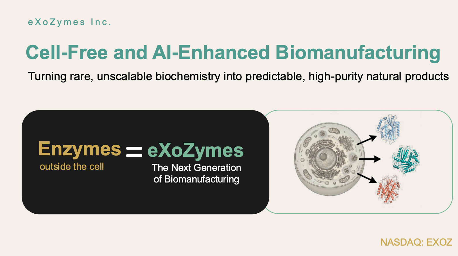 Screenshot 2026-03-31 at 13.27.55